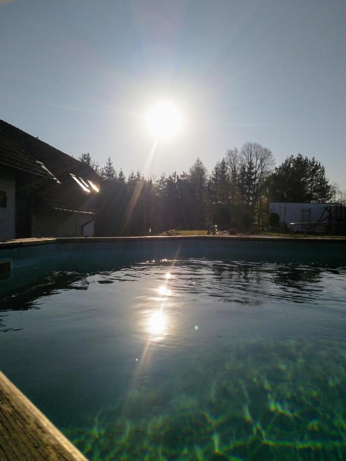 Camping & Guest House Pliskovice Mirovice Экстерьер фото