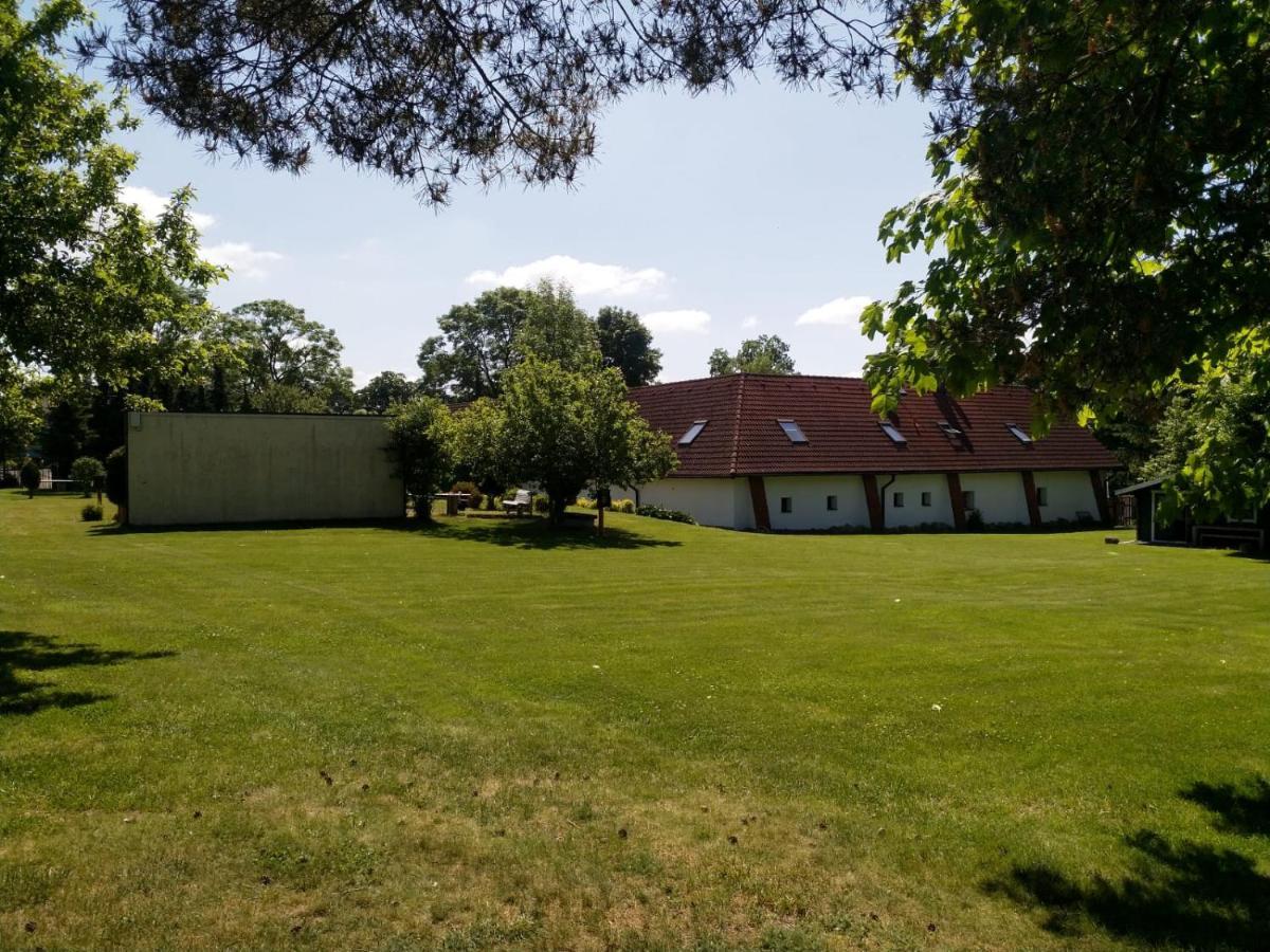 Camping & Guest House Pliskovice Mirovice Экстерьер фото