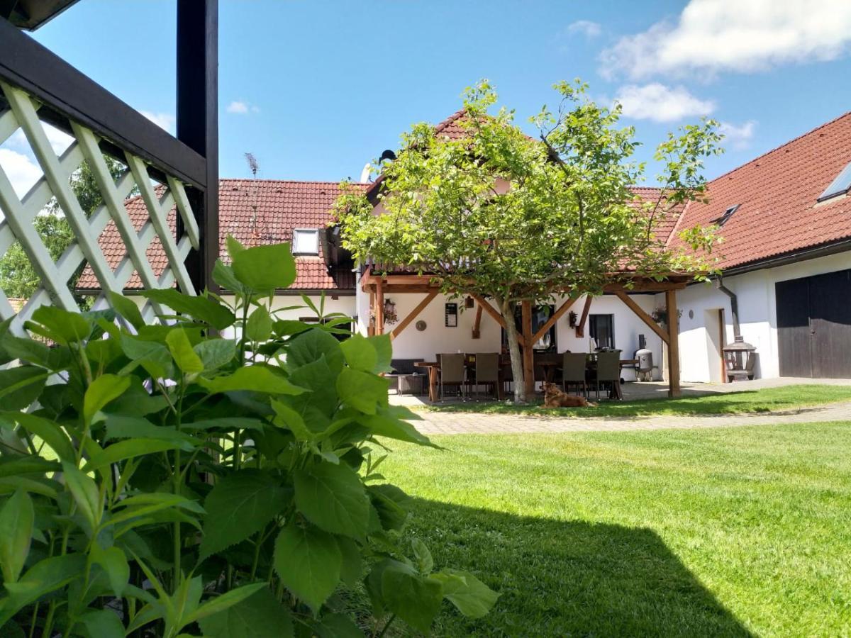 Camping & Guest House Pliskovice Mirovice Экстерьер фото