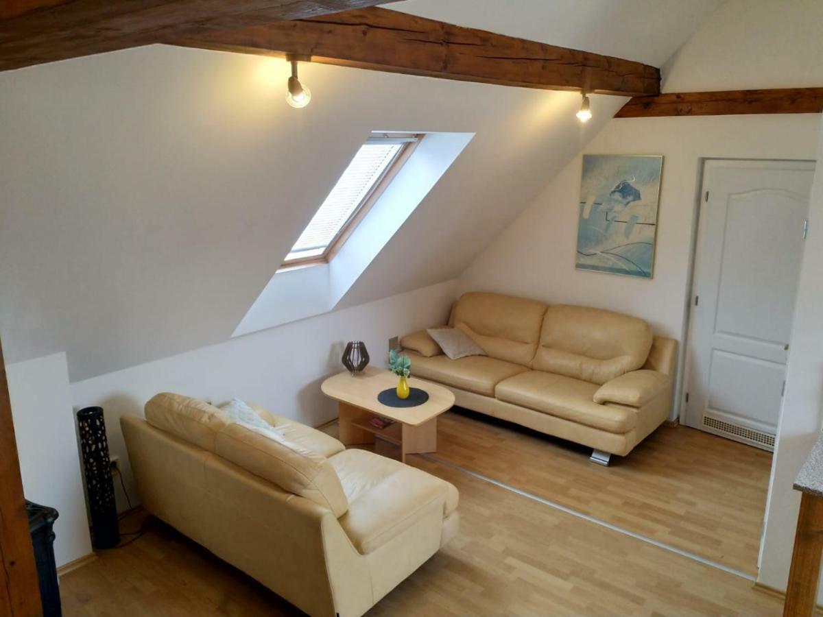 Camping & Guest House Pliskovice Mirovice Экстерьер фото