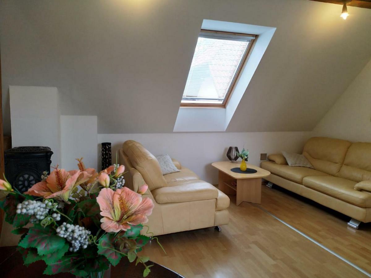 Camping & Guest House Pliskovice Mirovice Экстерьер фото